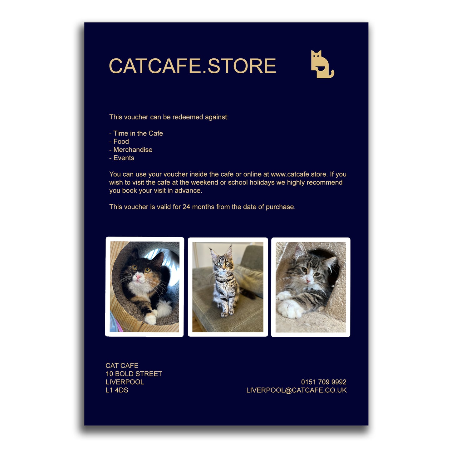 Cat Cafe Gift Voucher - Physical
