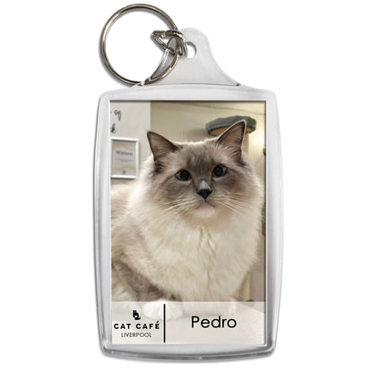 Cat Cafe Liverpool Keyring - Pedro
