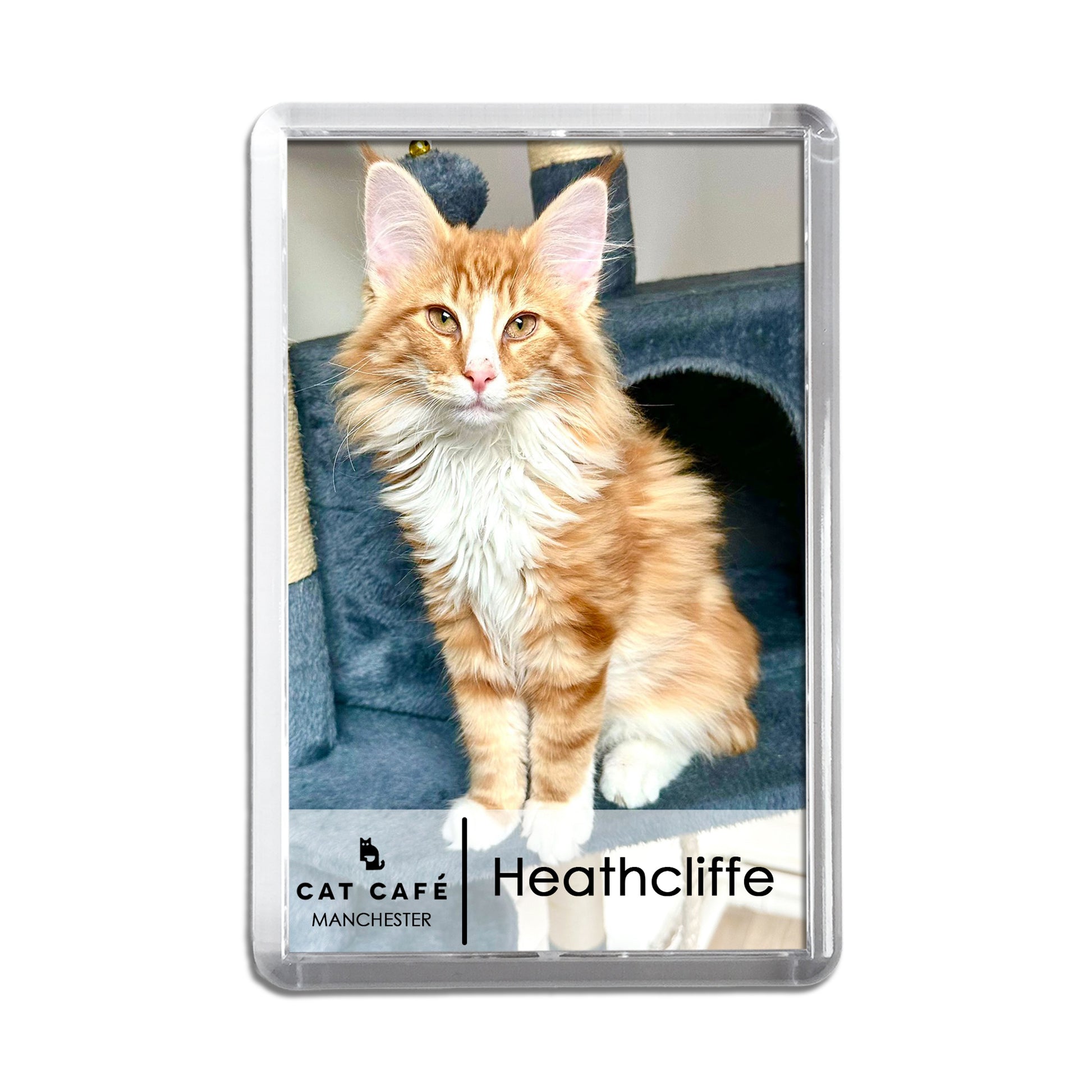 Cat Cafe Manchester Magnet - Heathcliffe