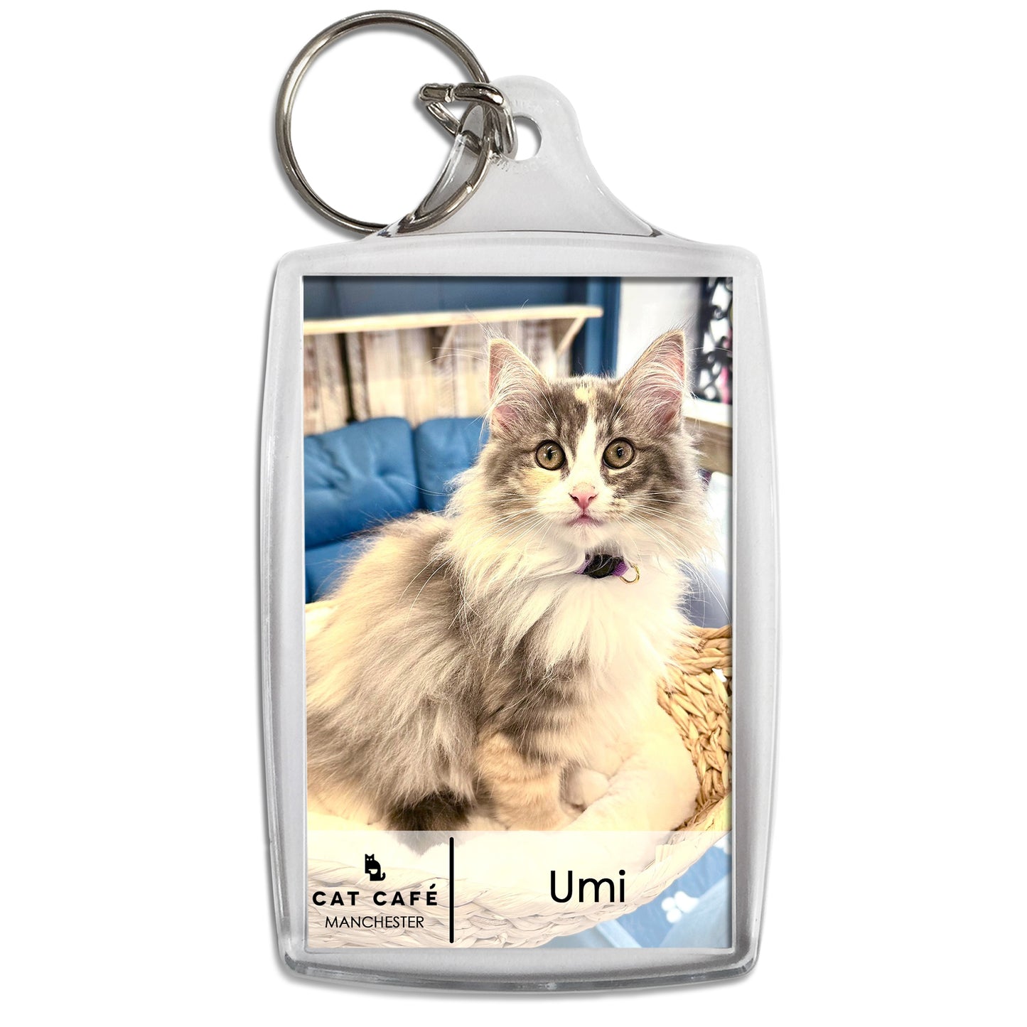 Cat Cafe Manchester Keyring - Umi