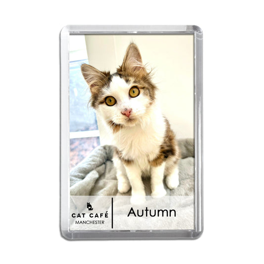 Cat Cafe Manchester Magnet - Autumn