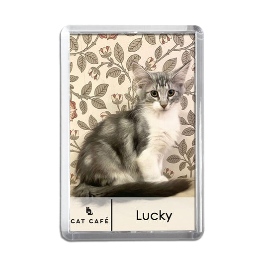 Cat Cafe Liverpool Magnet - Lucky