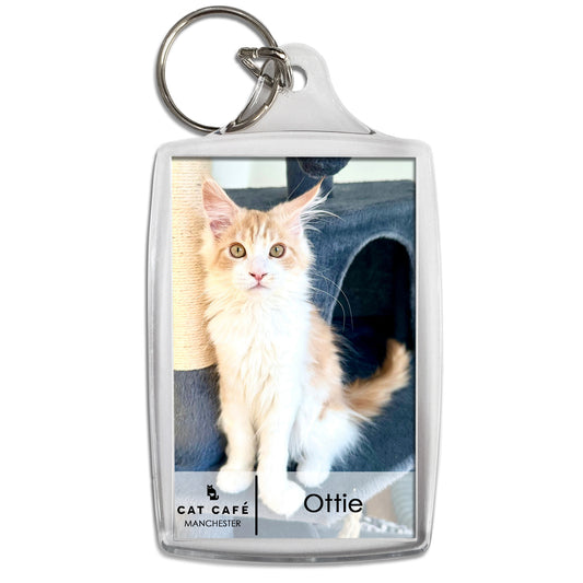 Cat Cafe Manchester Keyring - Ottie