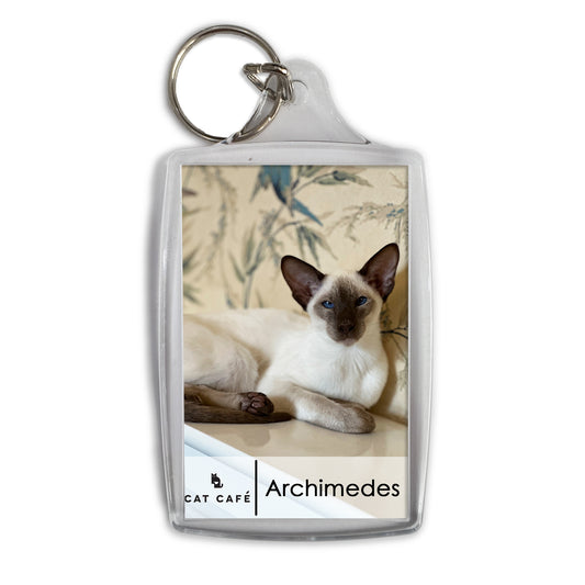 Cat Cafe Liverpool Keyring - Archimedes