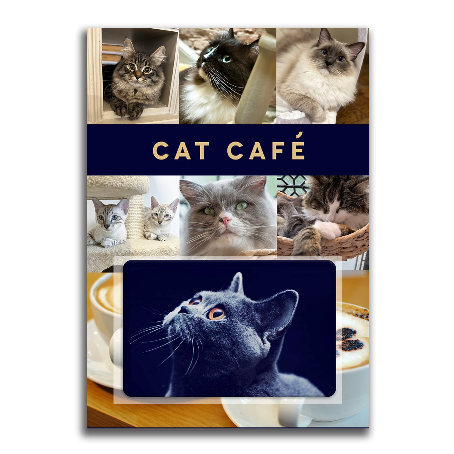 Cat Cafe Gift Voucher - Physical