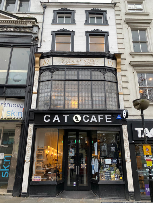Cat Cafe Liverpool