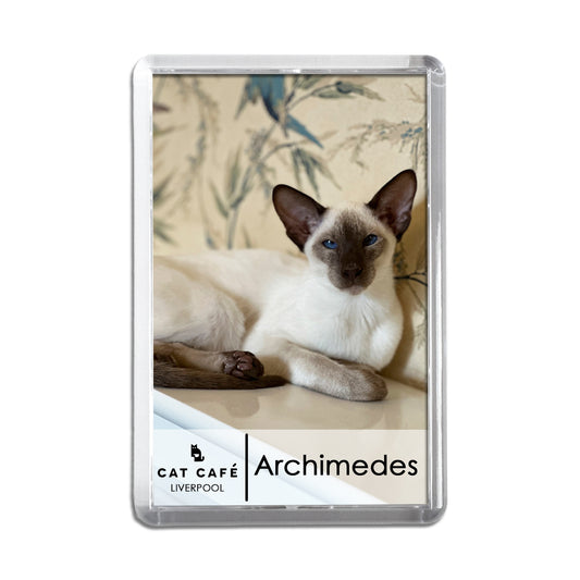 Cat Cafe Liverpool Magnet - Archimedes