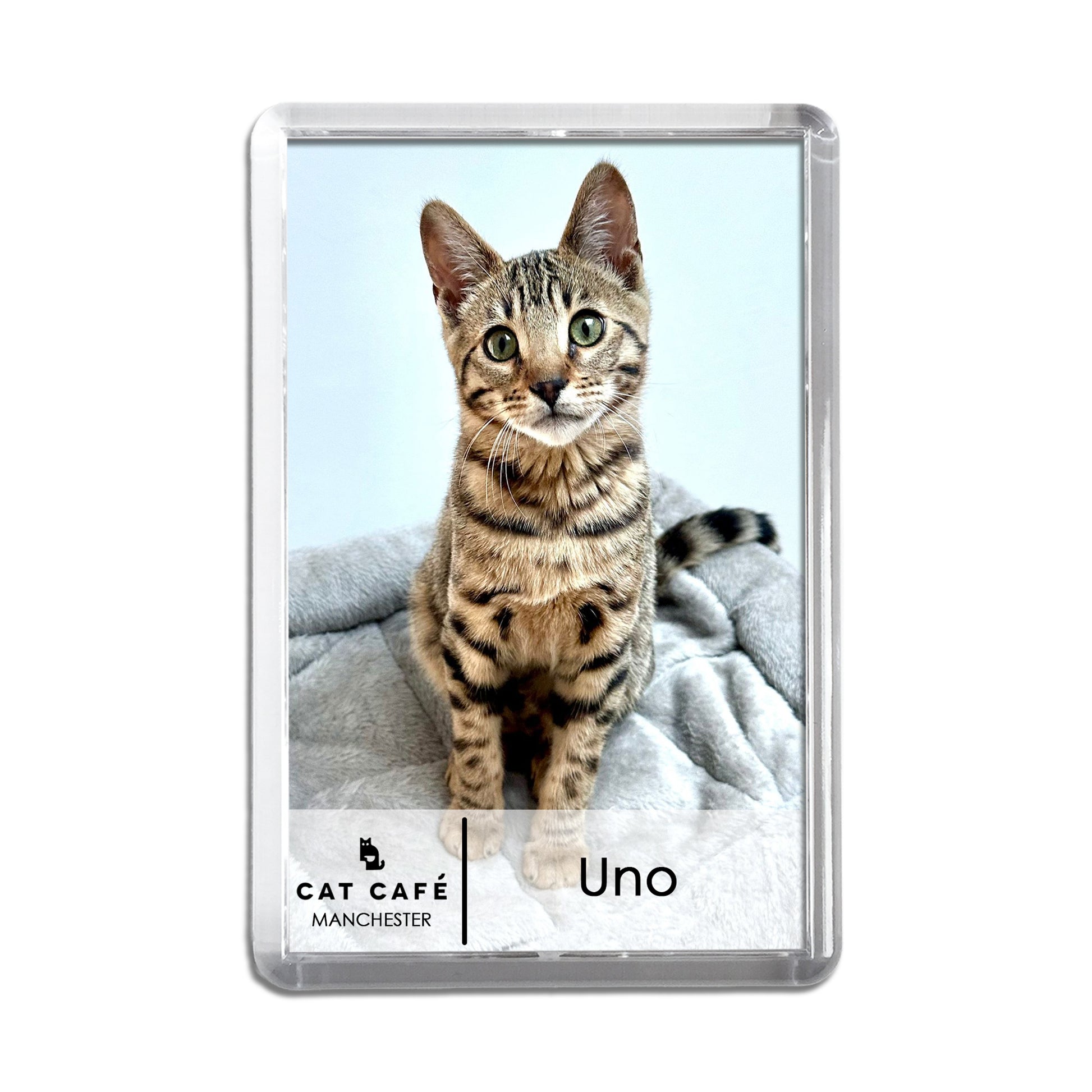 Cat Cafe Manchester Magnet - Uno