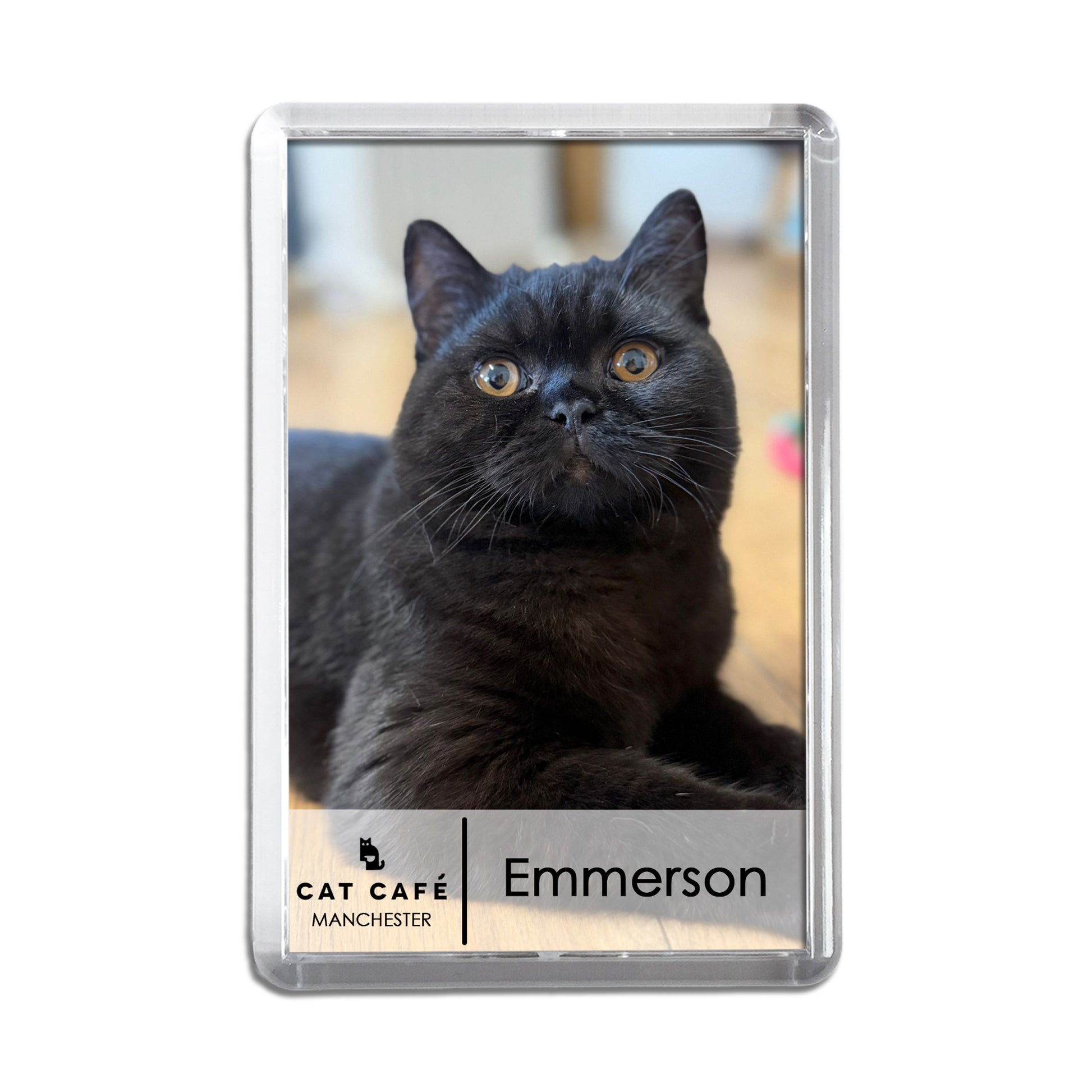 Cat Cafe Manchester Magnet - Emmerson