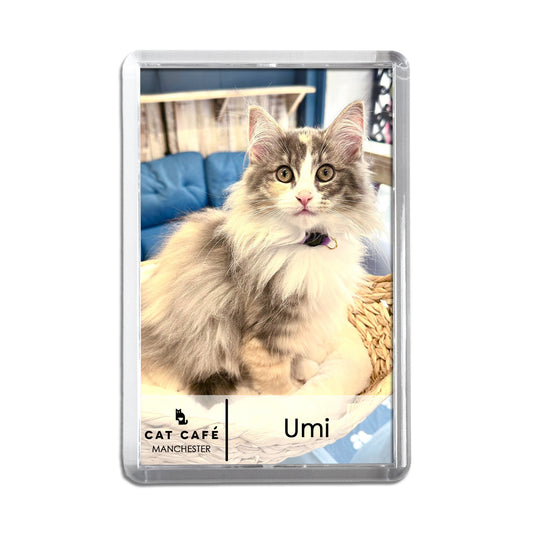 Cat Cafe Manchester Magnet - Umi