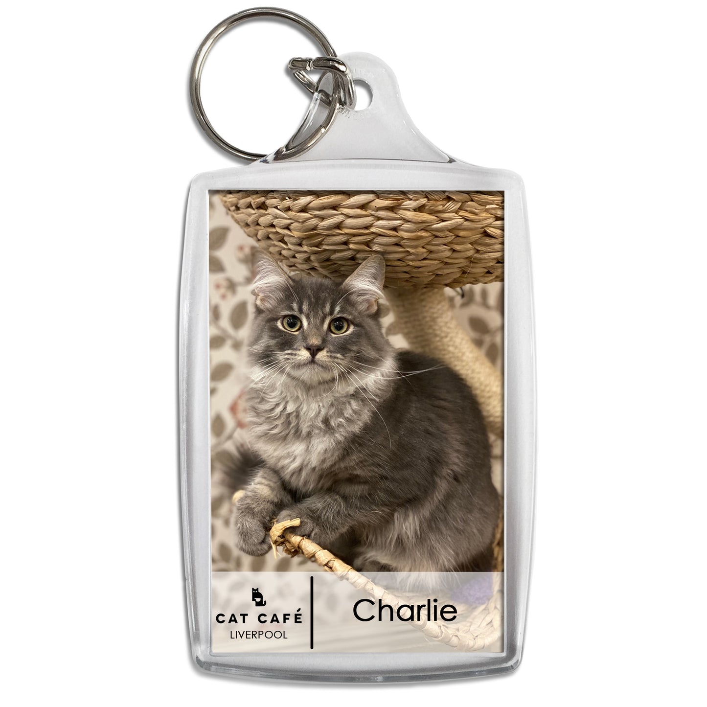 Cat Cafe Liverpool Keyring - Charlie