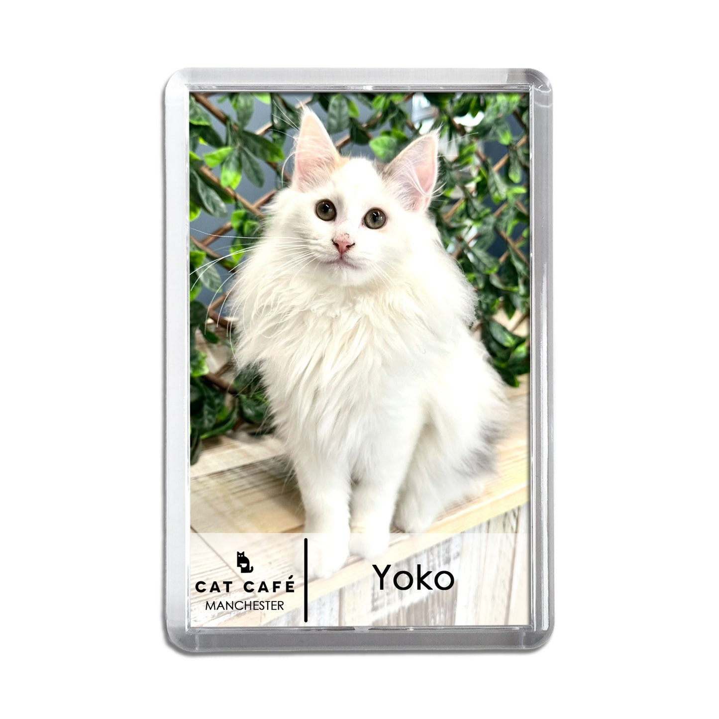 Cat Cafe Manchester Magnet - Yoko