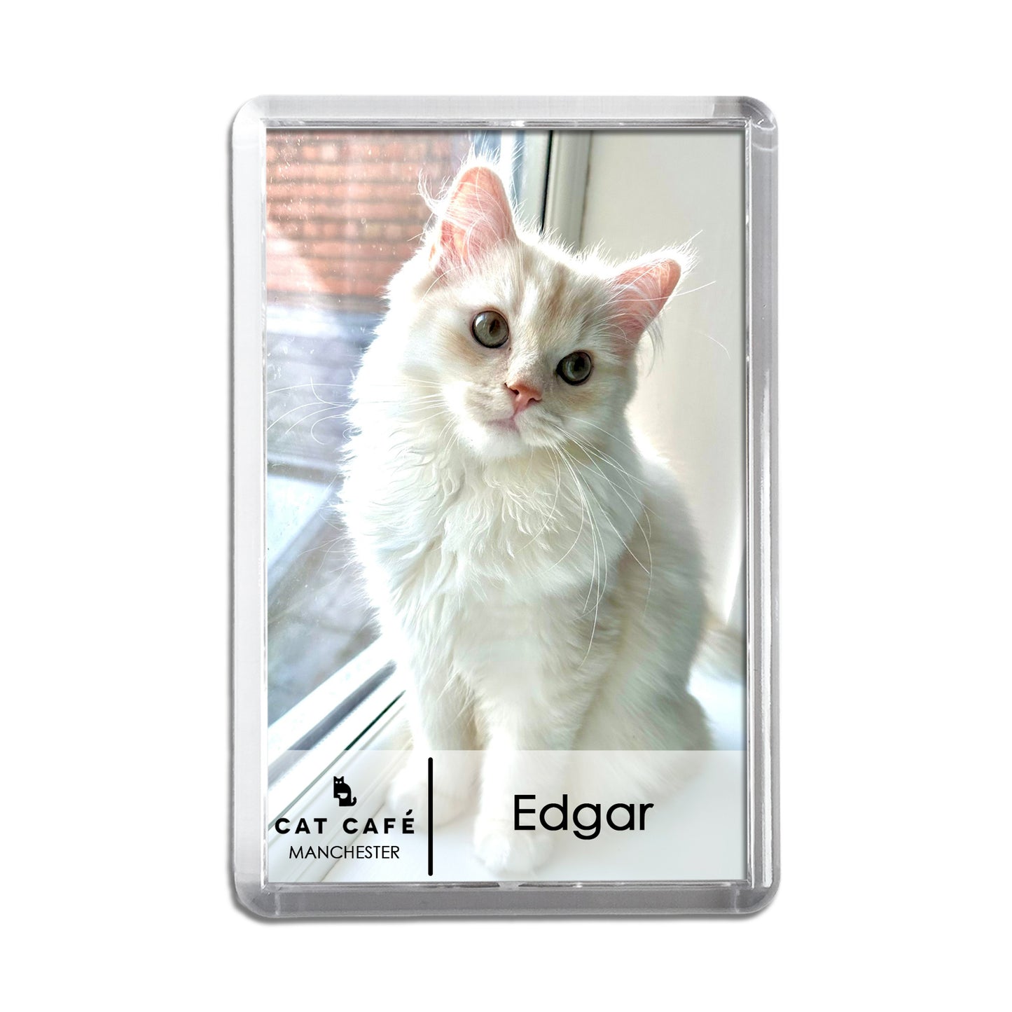 Cat Cafe Manchester Magnet - Edgar