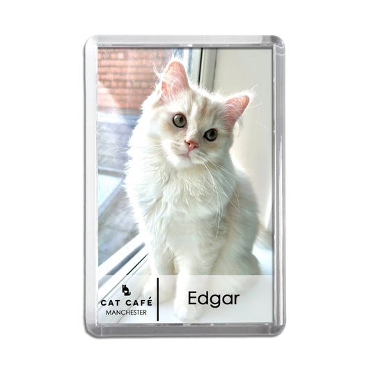 Cat Cafe Manchester Magnet - Edgar