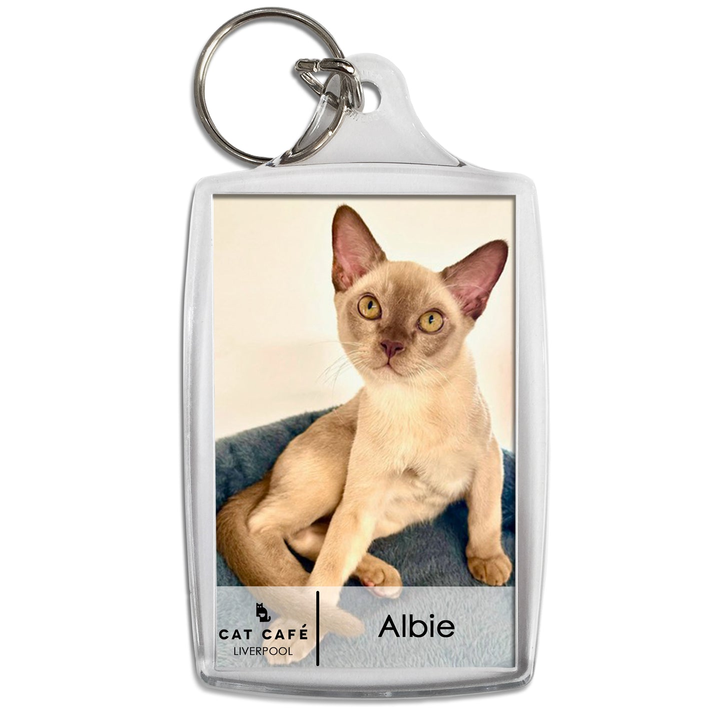 Cat Cafe Liverpool Keyring - Albie