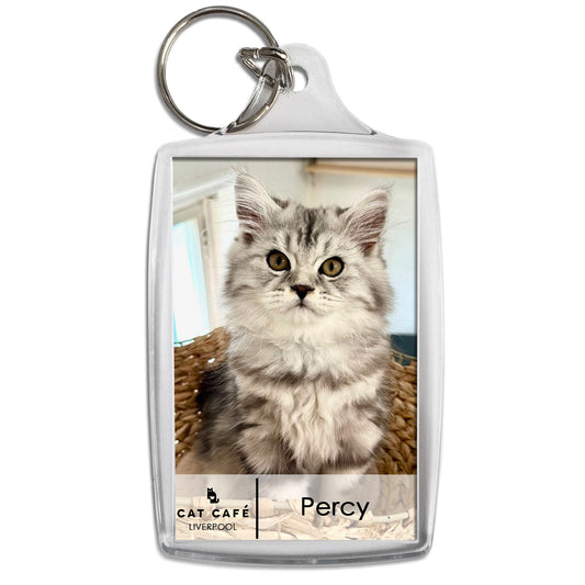 Cat Cafe Liverpool Keyring - Percy