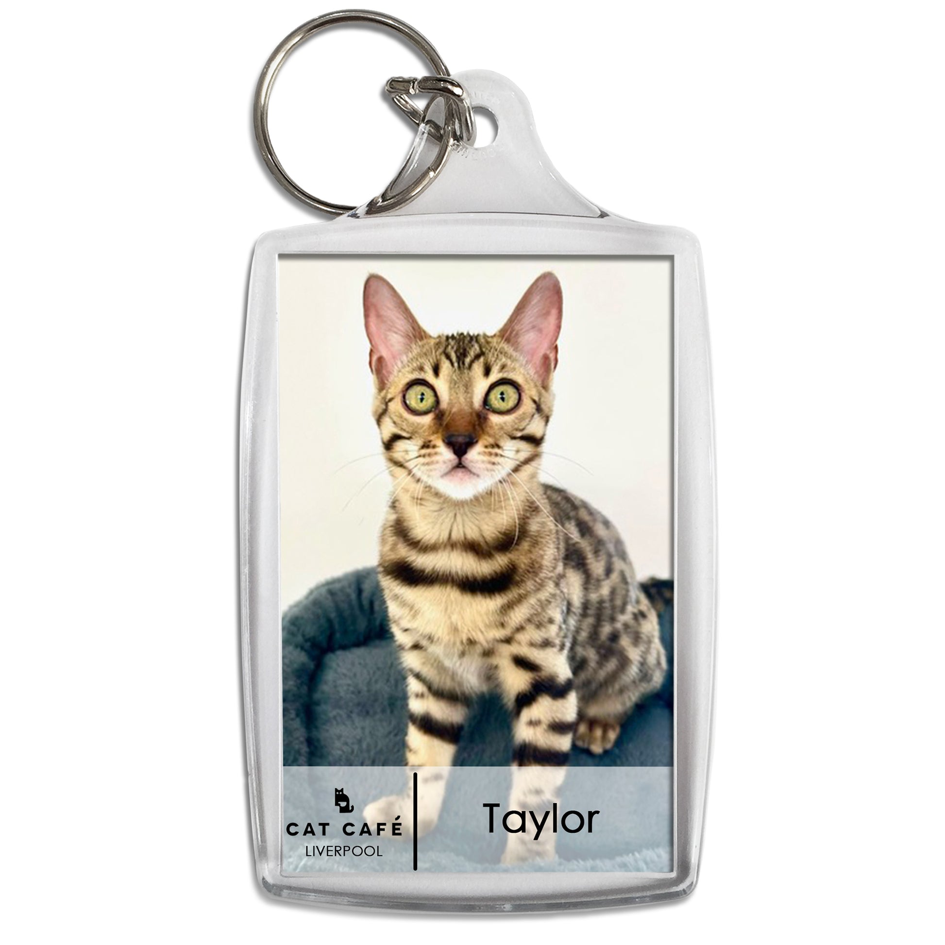 Cat Cafe Liverpool Keyring - Taylor
