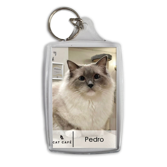 Cat Cafe Liverpool Keyring - Pedro