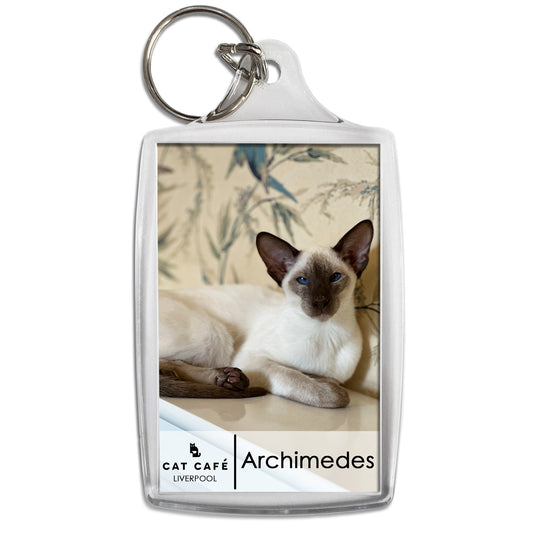 Cat Cafe Liverpool Keyring - Archimedes