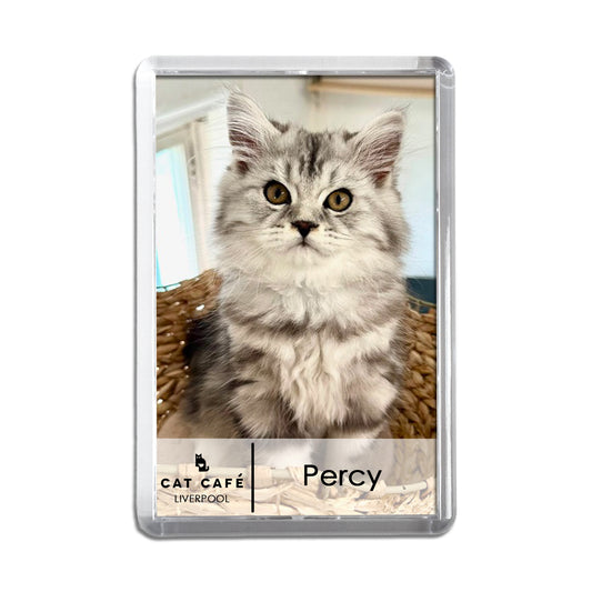 Cat Cafe Liverpool Magnet - Percy