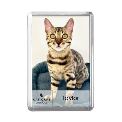 Cat Cafe Liverpool Magnet - Taylor