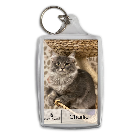 Cat Cafe Liverpool Keyring - Charlie