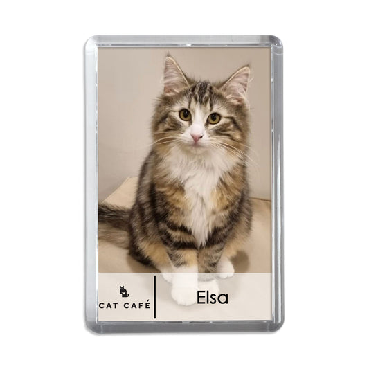 Cat Cafe Liverpool Magnet - Elsa