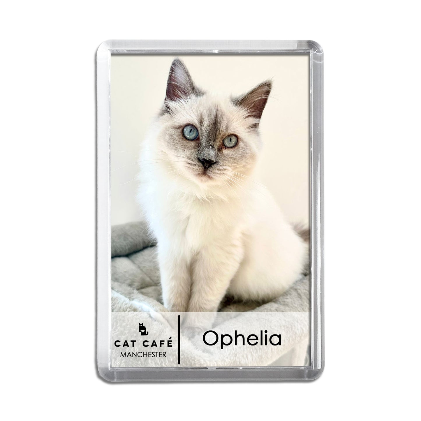 Cat Cafe Manchester Magnet - Ophelia