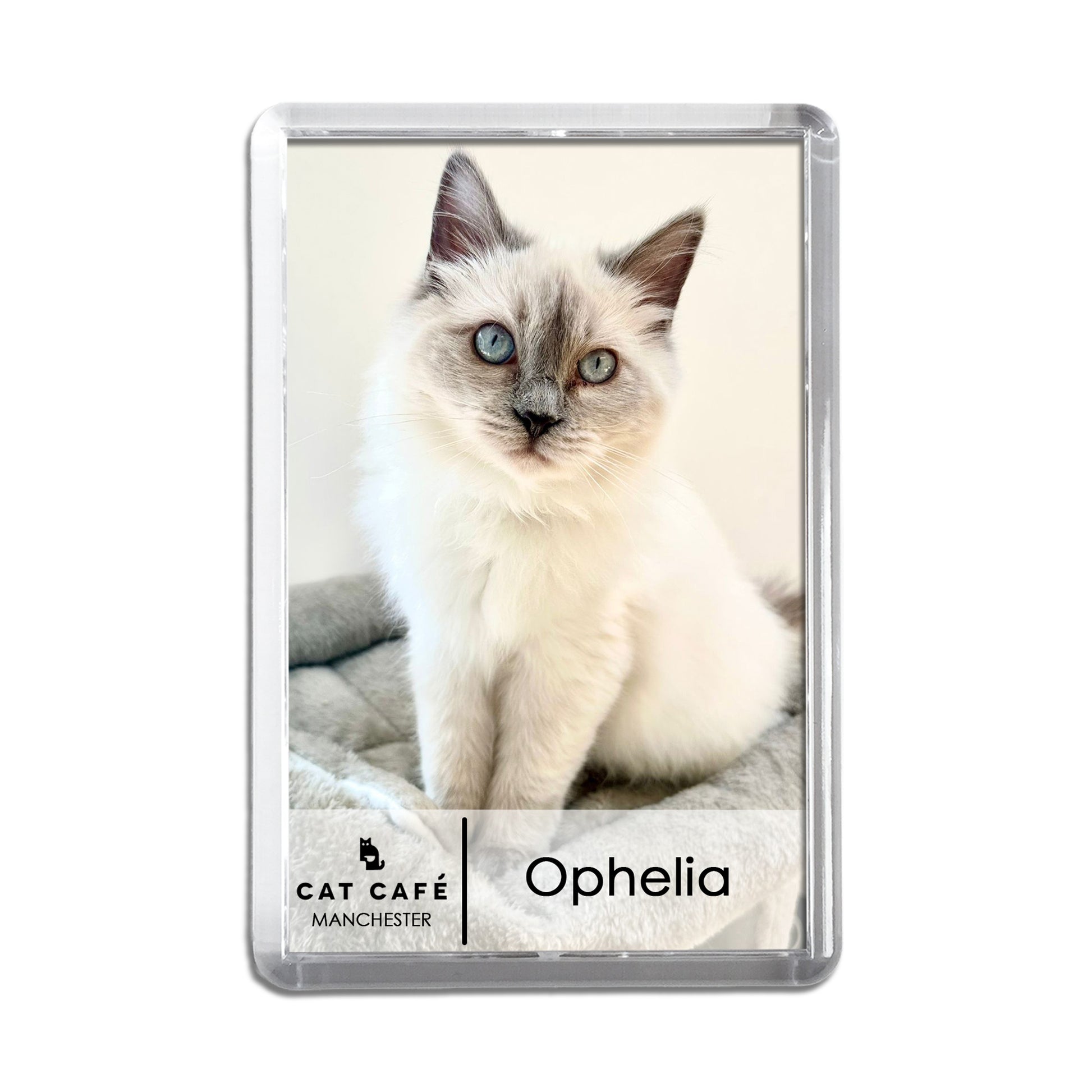 Cat Cafe Manchester Magnet - Ophelia