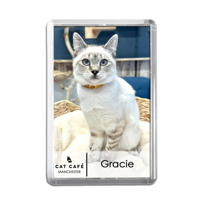 Cat Cafe Manchester Magnet - Gracie