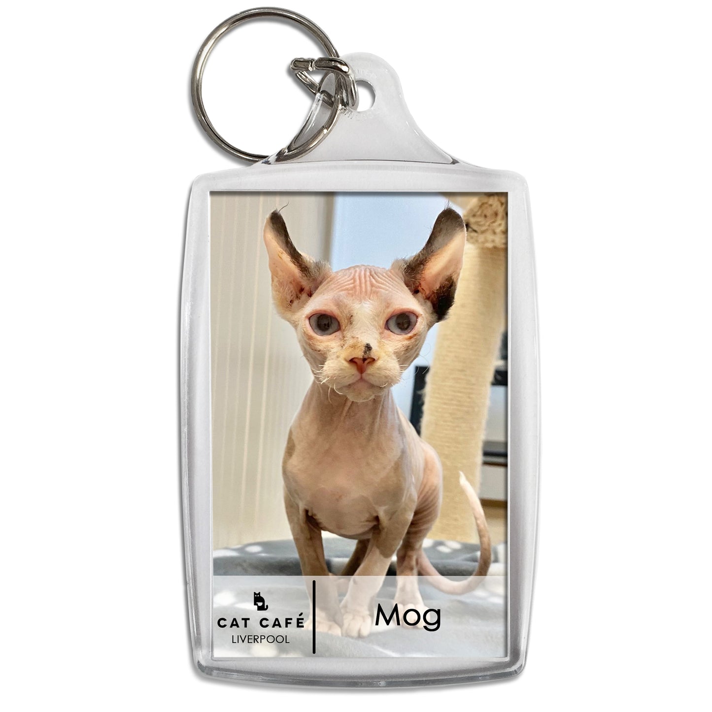 Cat Cafe Liverpool Keyring - Mog
