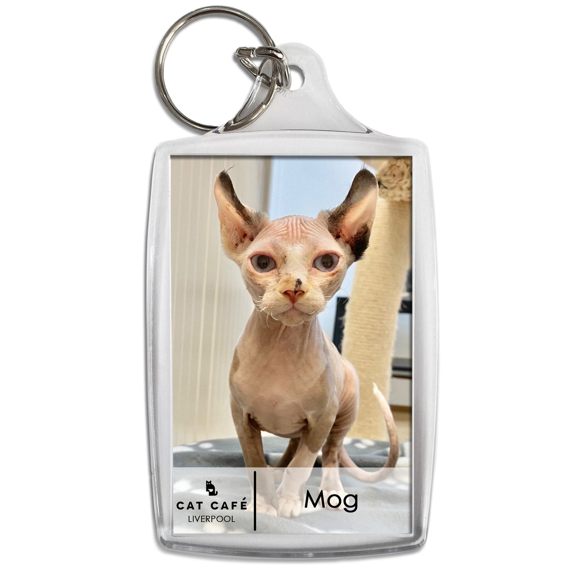 Cat Cafe Liverpool Keyring - Mog
