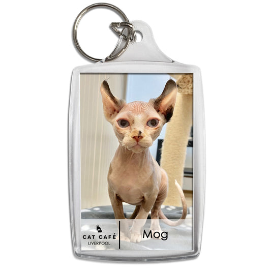 Cat Cafe Liverpool Keyring - Mog
