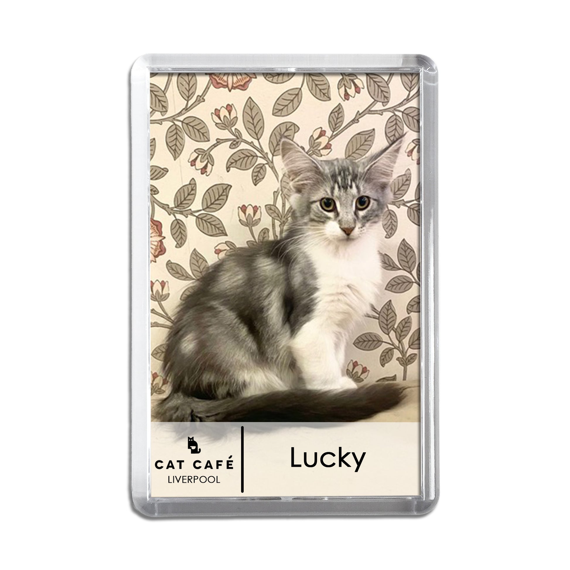 Cat Cafe Liverpool Magnet - Lucky