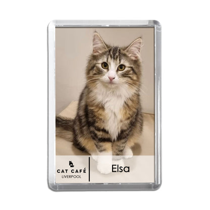 Cat Cafe Liverpool Magnet - Elsa