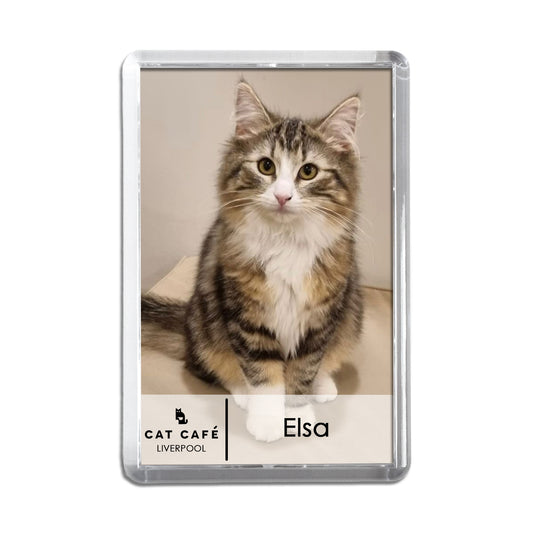 Cat Cafe Liverpool Magnet - Elsa