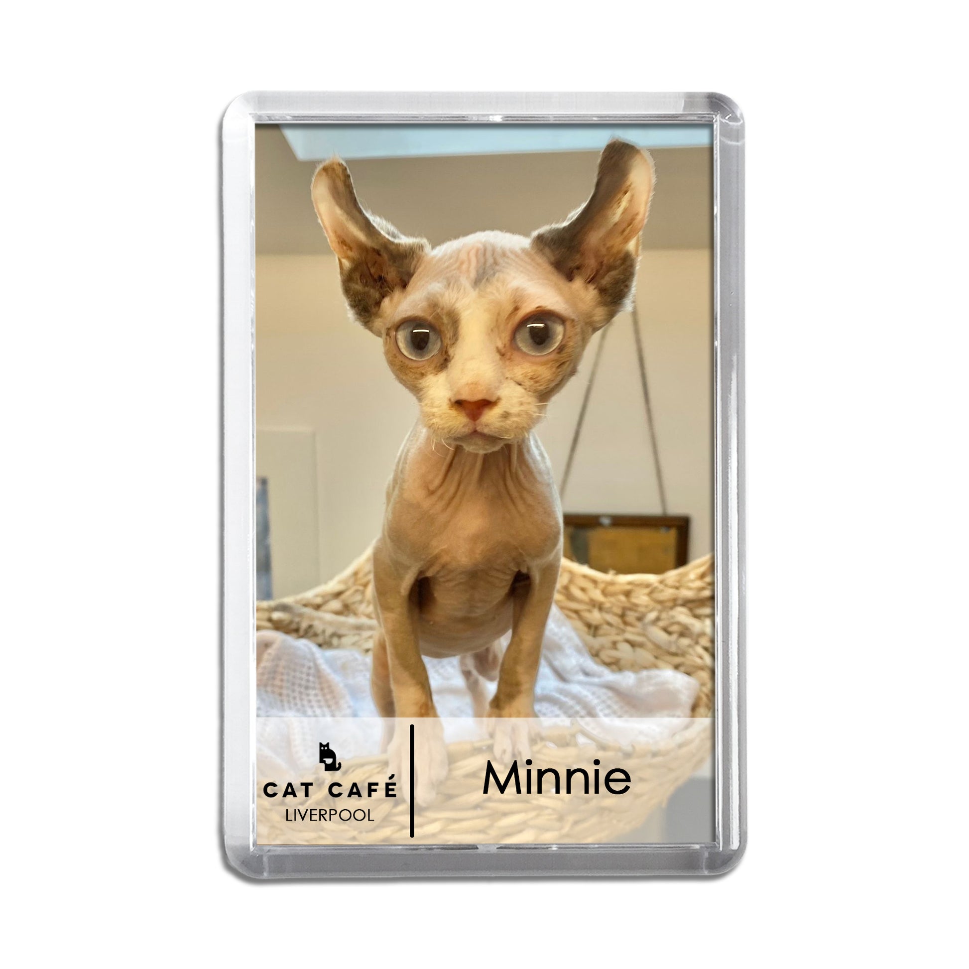 Cat Cafe Liverpool Magnet - Minnie