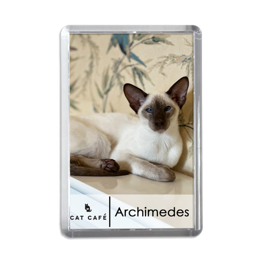Cat Cafe Liverpool Magnet - Archimedes