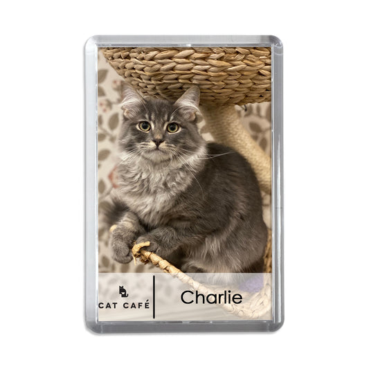 Cat Cafe Liverpool Magnet - Charlie