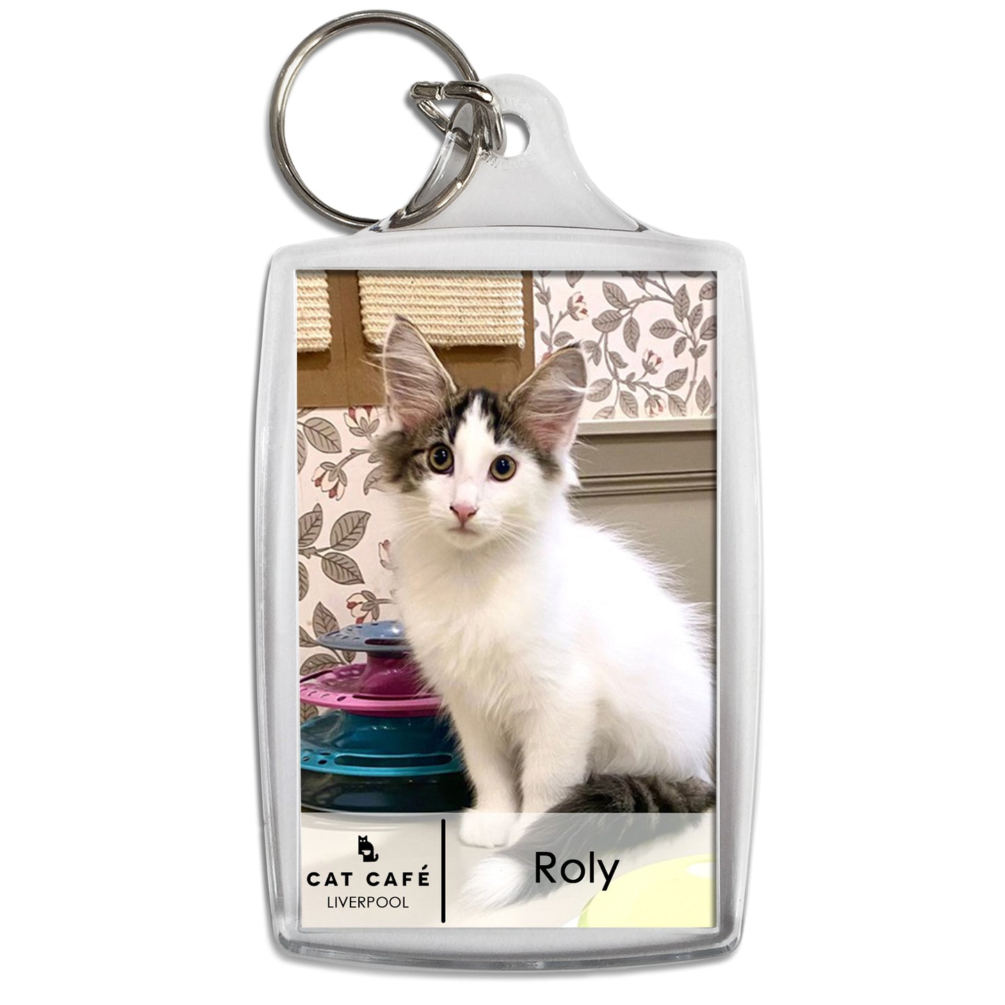 Cat Cafe Liverpool Keyring - Roly