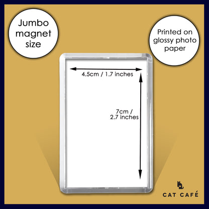 Cat Cafe Liverpool Magnet - Minnie
