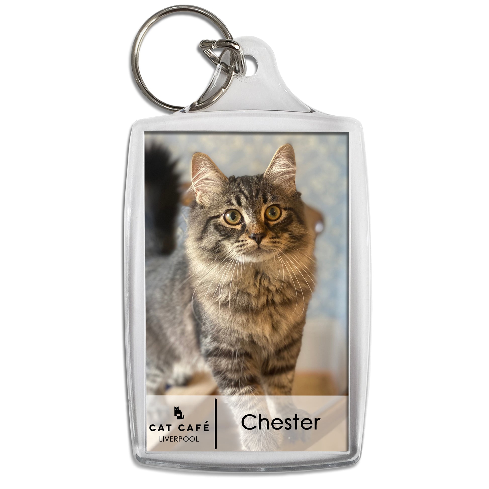 Cat Cafe Liverpool Keyring - Chester