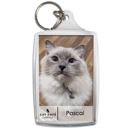 Cat Cafe Liverpool Keyring - Pascal