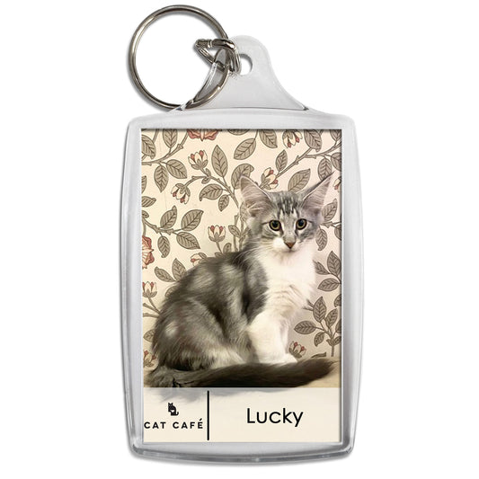 Cat Cafe Liverpool Keyring - Lucky