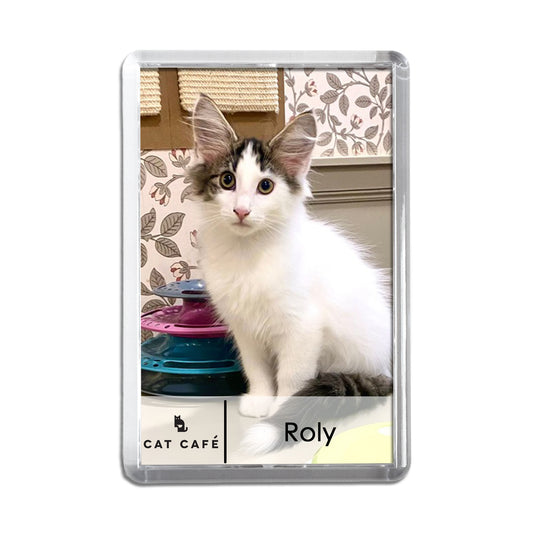 Cat Cafe Liverpool Magnet - Roly