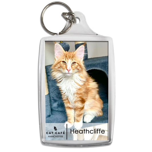 Cat Cafe Manchester Keyring - Heathcliffe