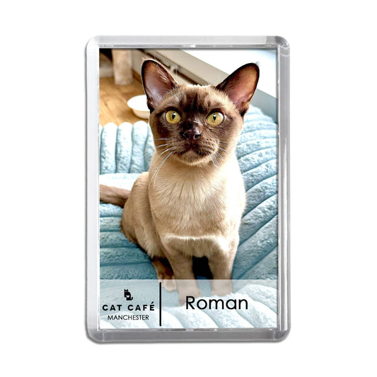 Cat Cafe Manchester Magnet - Roman