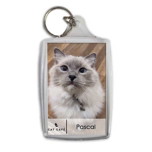 Cat Cafe Liverpool Keyring - Pascal